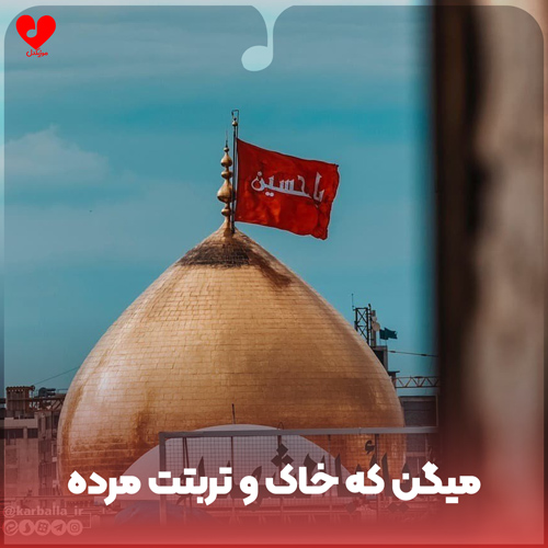 دانلود مداحی میگن که خاک و تربتت مرده رو زنده میکنه از جواد ذاکر